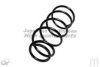 NISSA 540106M074 Coil Spring